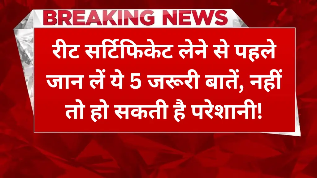 REET 2024 Certificate Distribution: सर्टिफिकेट लेने से पहले जान लें ये 5 जरूरी बातें, नहीं तो हो सकती है परेशानी!